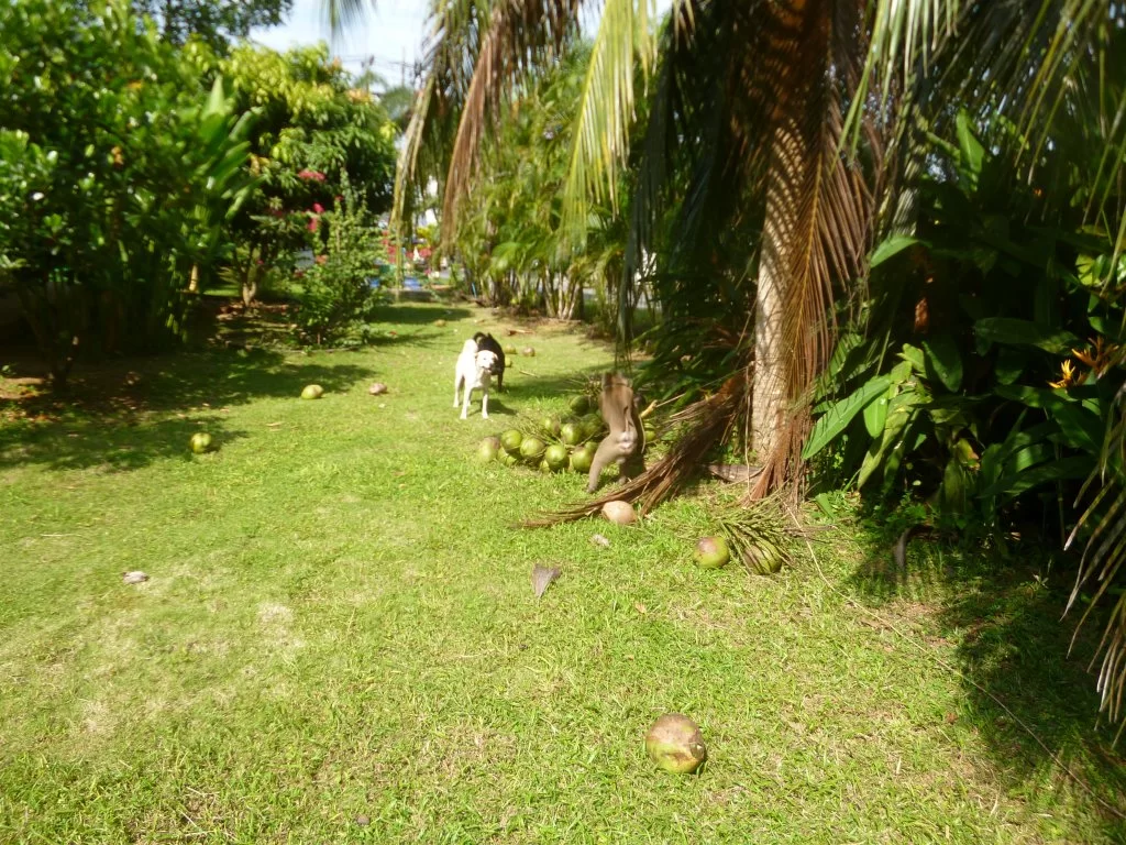 ååååååååååååååååååååååååå 027.webp