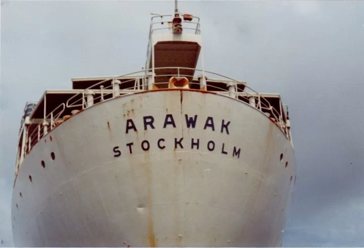 Arawak (2).webp
