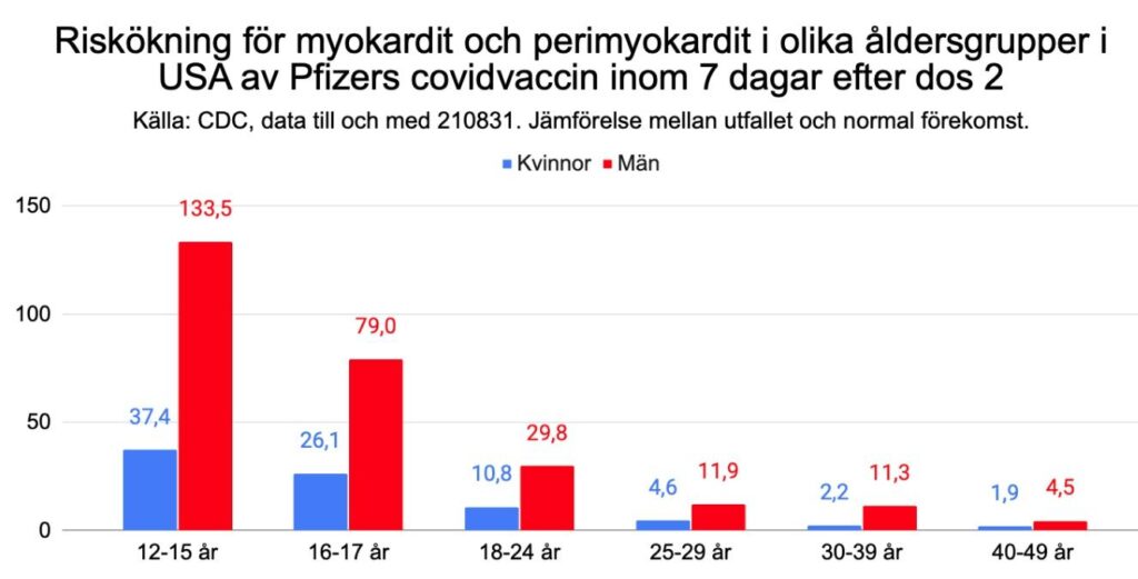 artikel2-1024x521.jpg