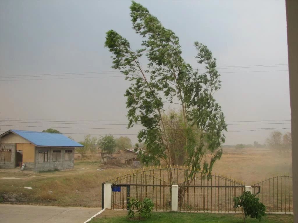 Ba mat 013.webp
