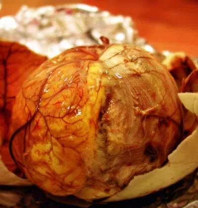 Balut.webp