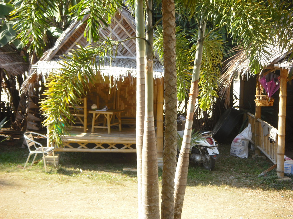 bambo bung.JPG