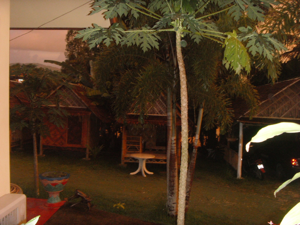bambo bungalow (10).JPG