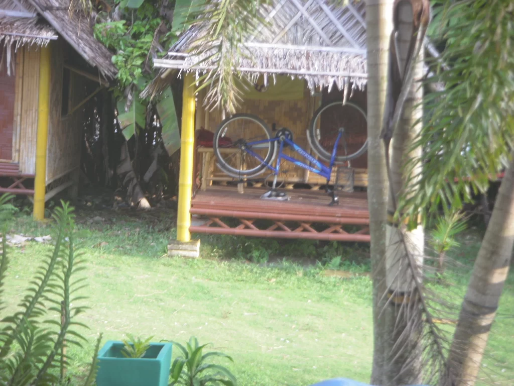 bambo bungalowen.webp