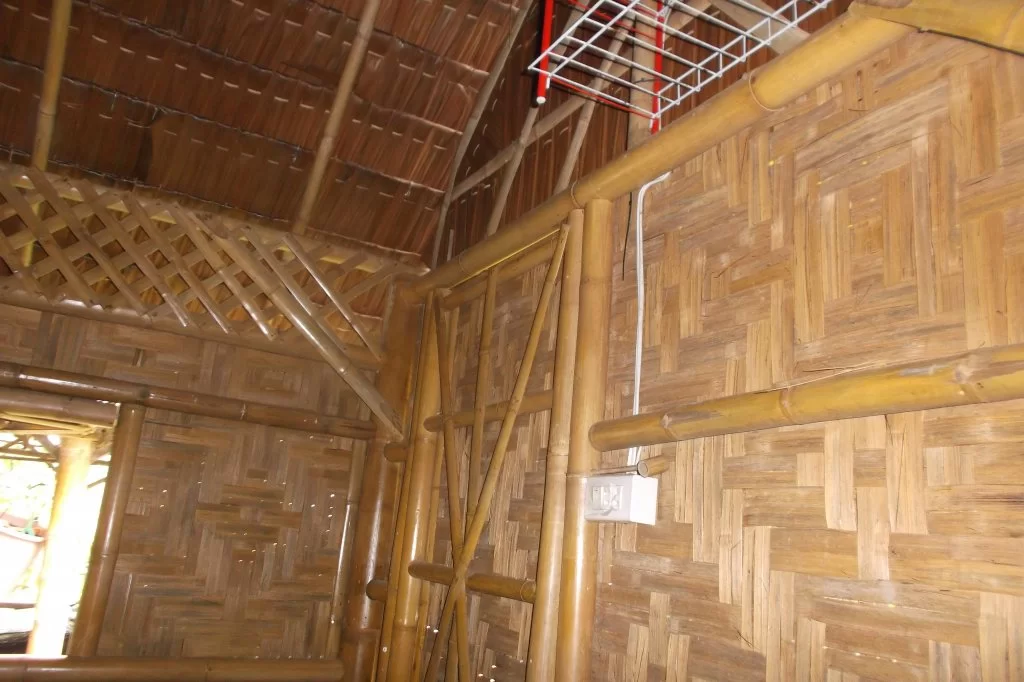 bambo bunge (4).webp