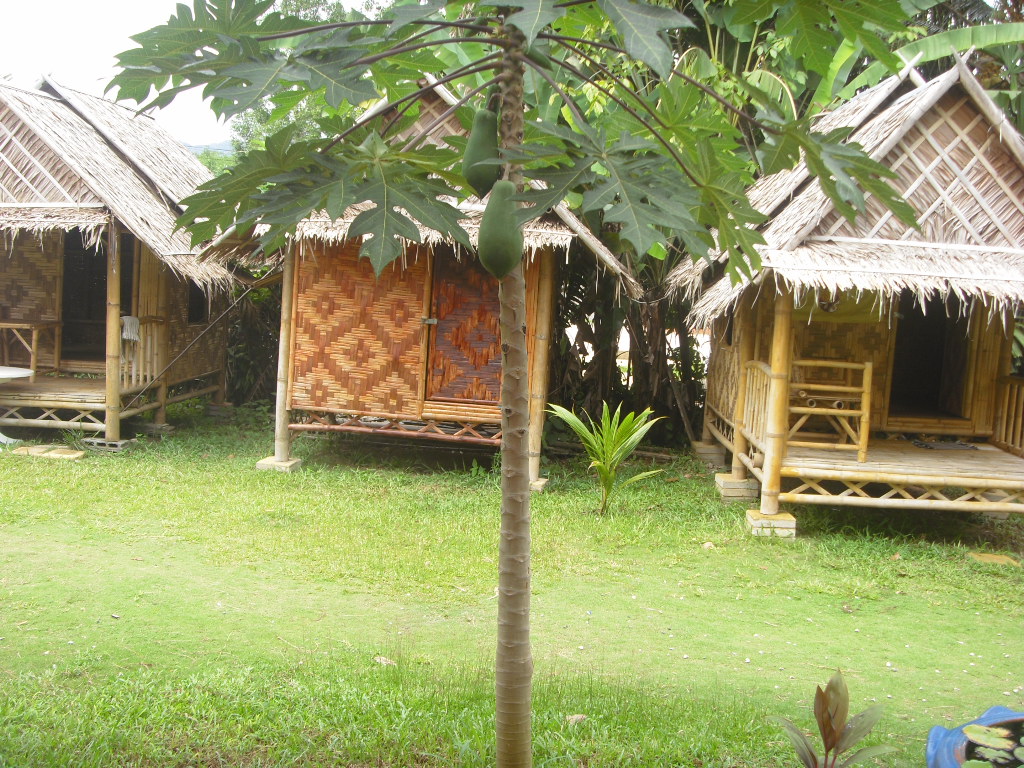 bamboo bungalower.JPG