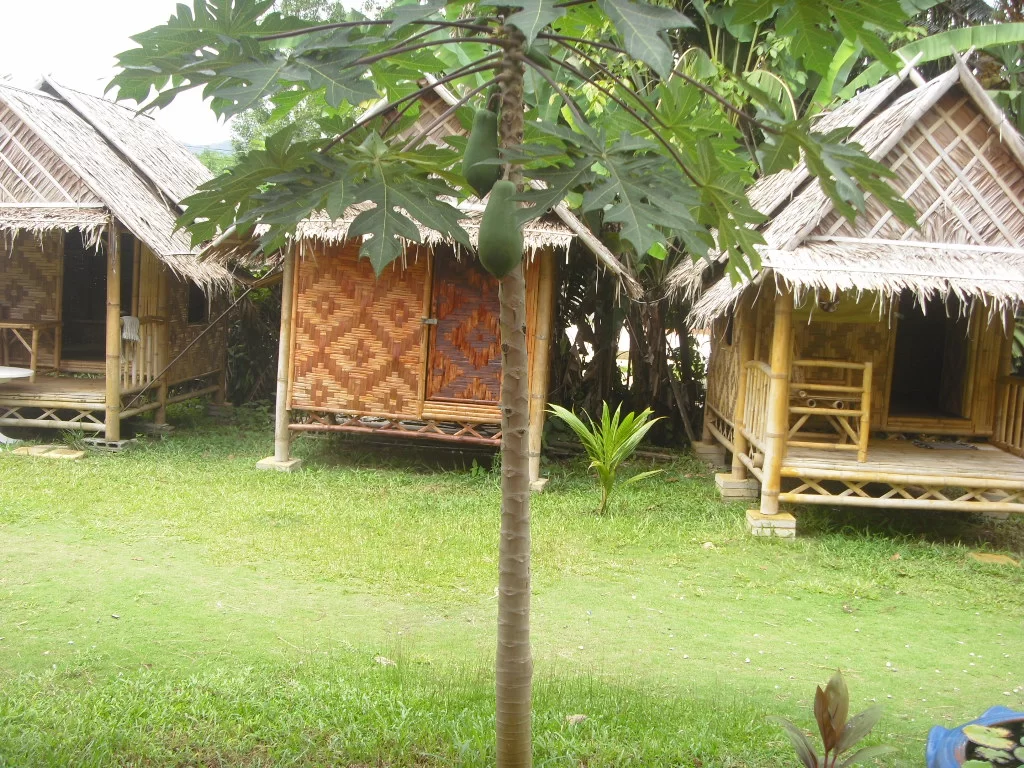 bamboo bungalower.webp