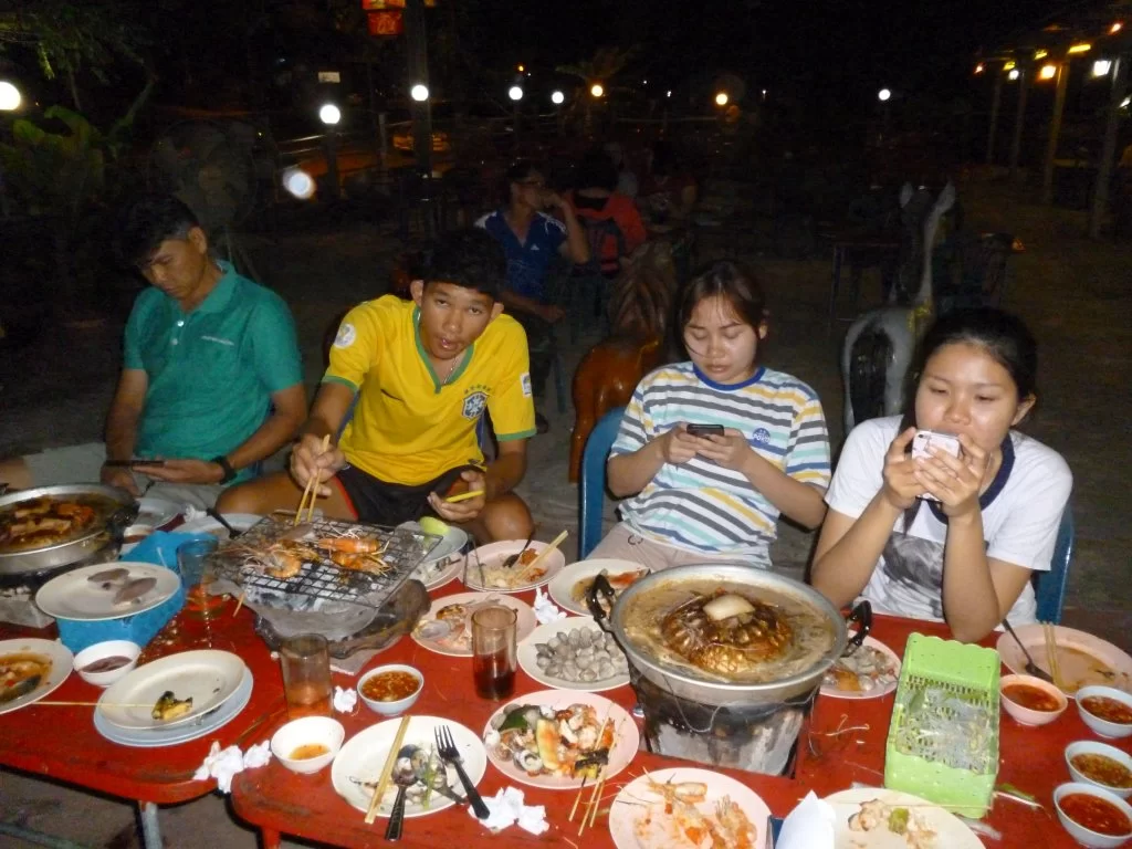 Banded Krait 022.webp