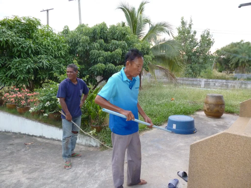 Banded Krait 024.webp