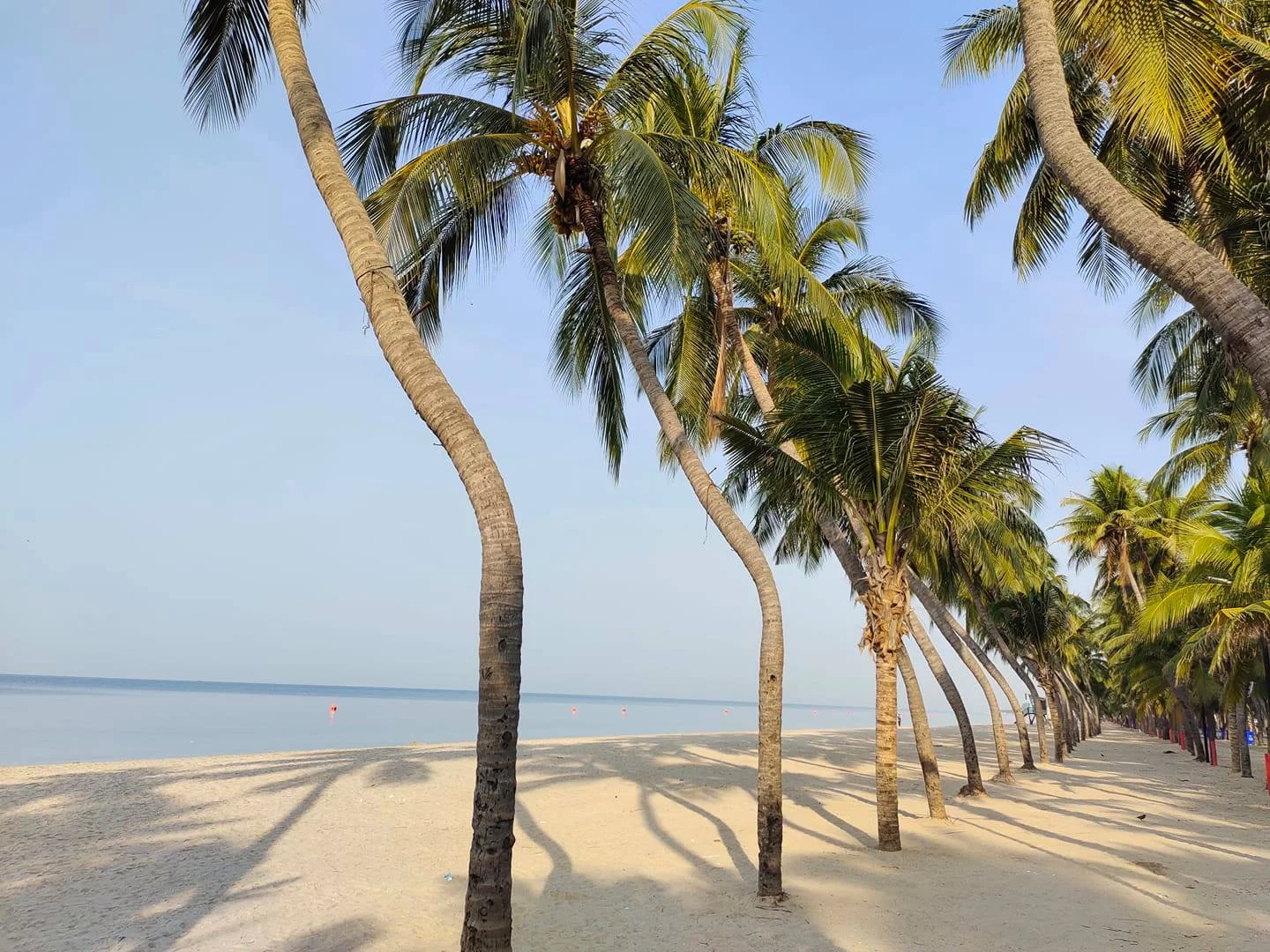 Bangsaen 112121.jpg Bangsaen 112121.jpg