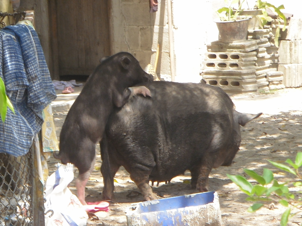 Bangsak beach.JPG