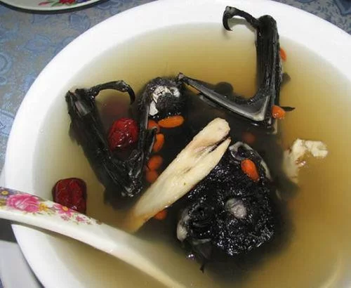 Bat soup.webp
