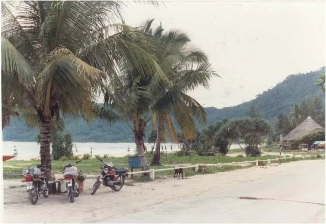beach road (3).webp