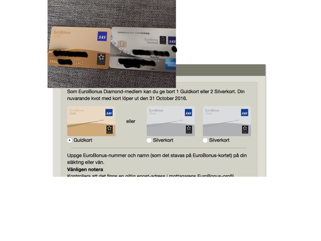 Bild.jpg