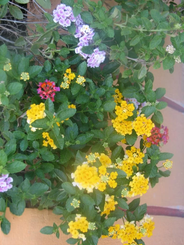 Bkk sista dagen 018.webp