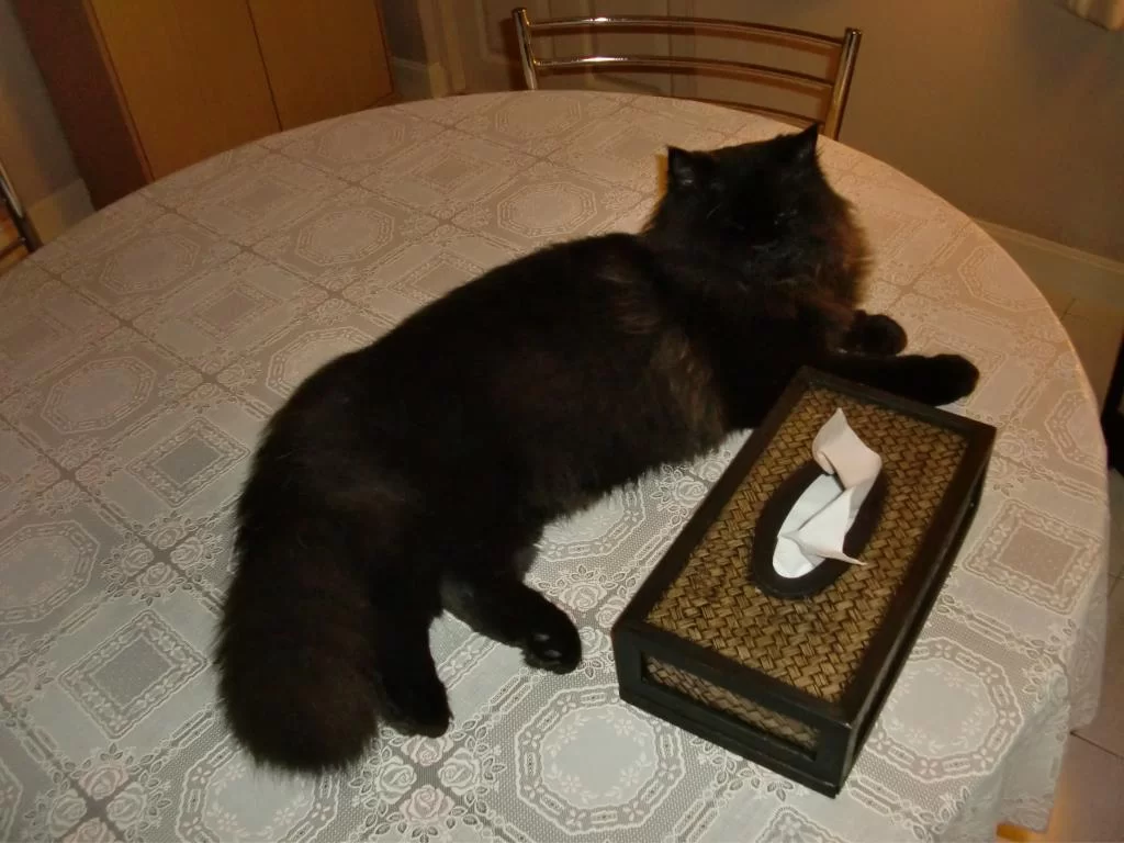 bland  jan Olov -Per målning kök mm jan 2014 002.webp