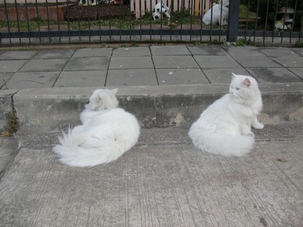 bland  jan Olov -Per målning kök mm jan 2014 090.webp