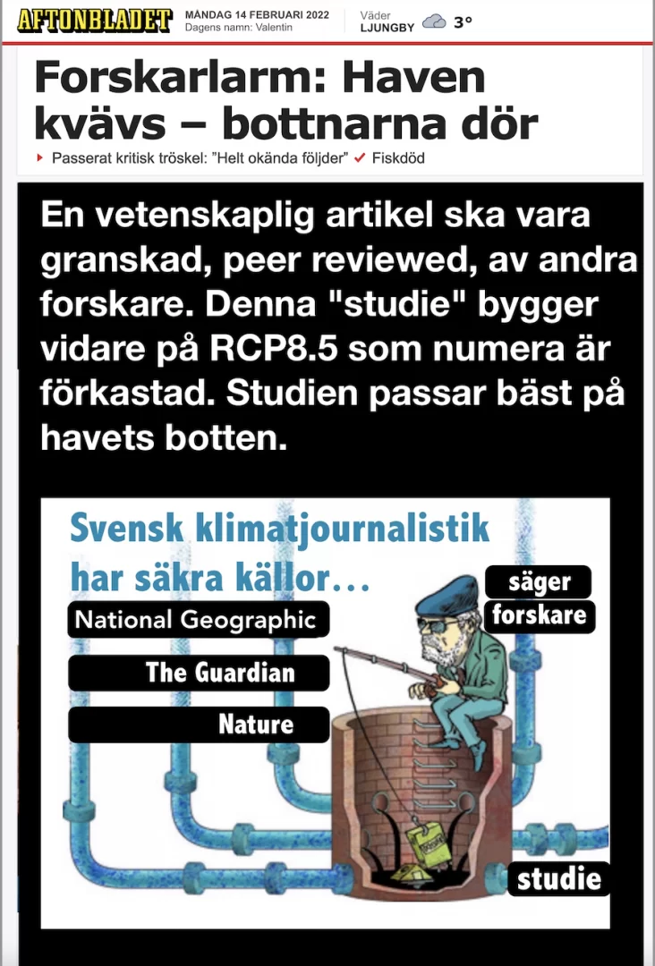 botten.webp