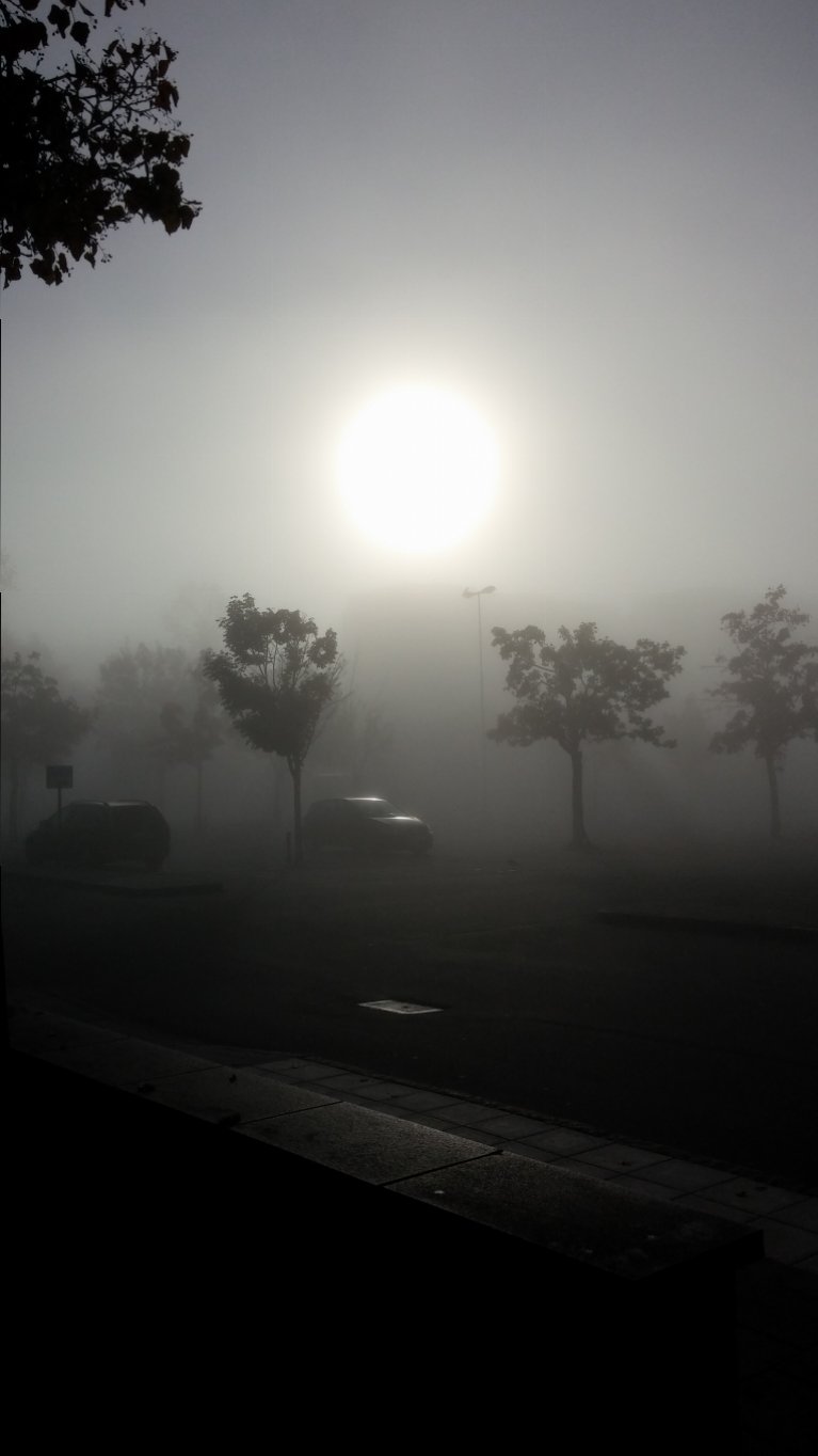 CAM00322.jpg
