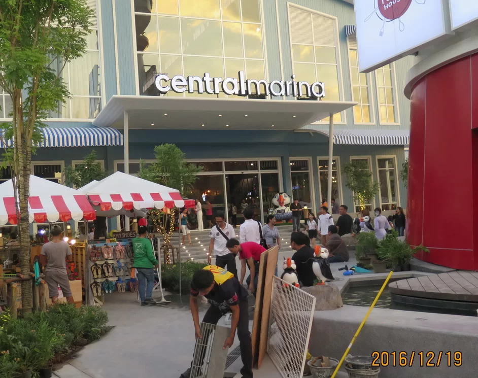 Central Marina.webp