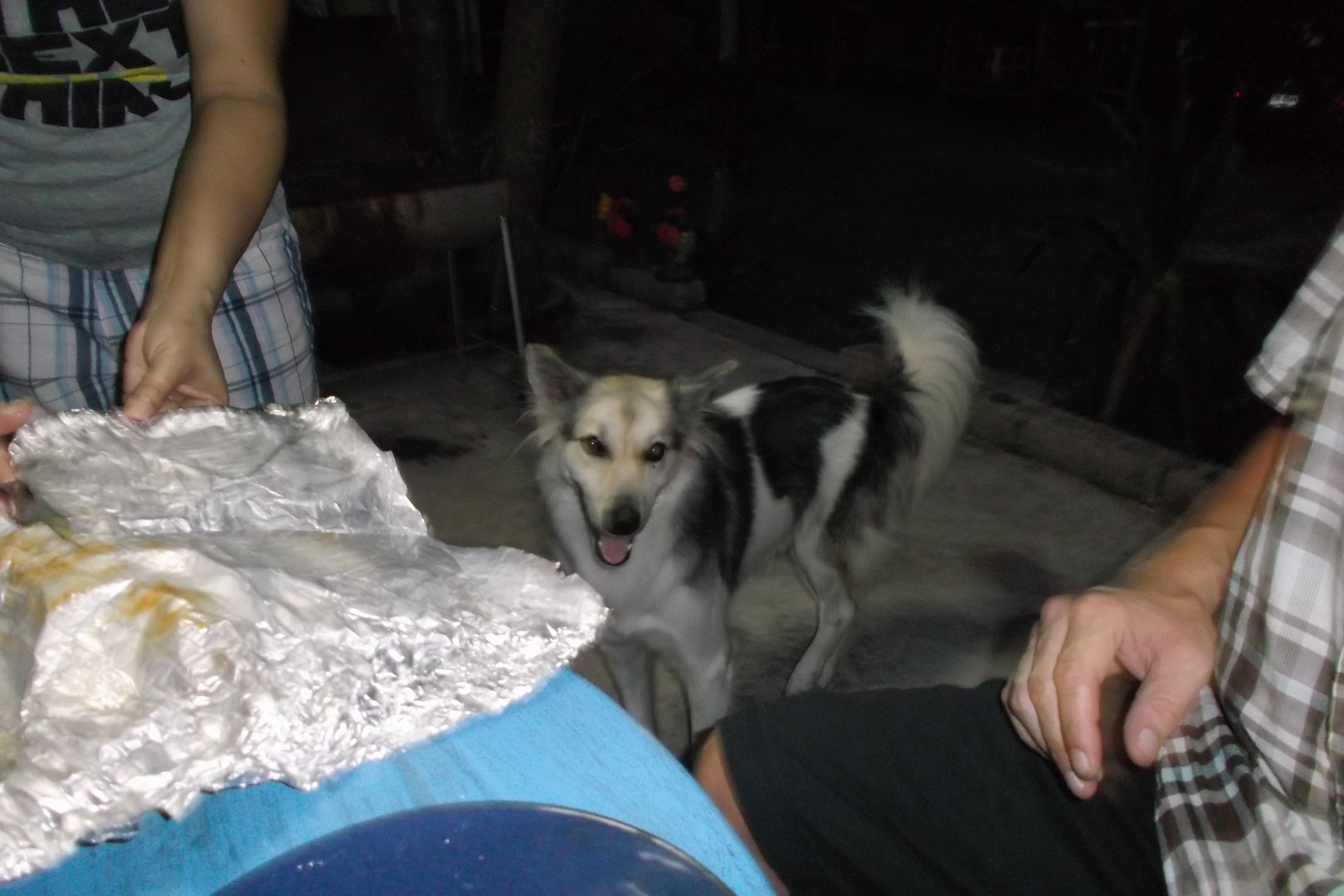 charlie (13).jpg