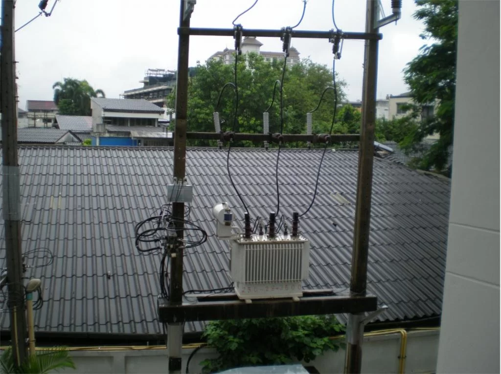 chiang mai 2011 016.webp