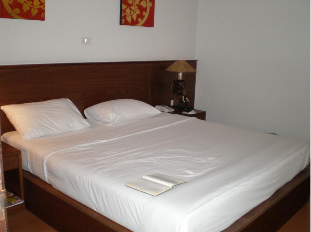 chiang mai 2011 019.jpg