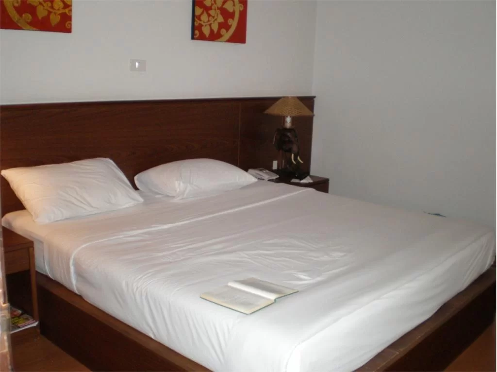 chiang mai 2011 019.webp