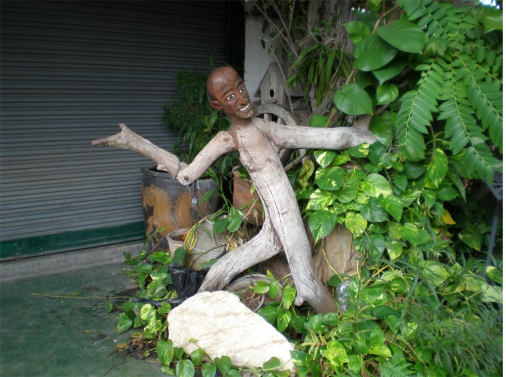 chiang mai 2011 038.jpg