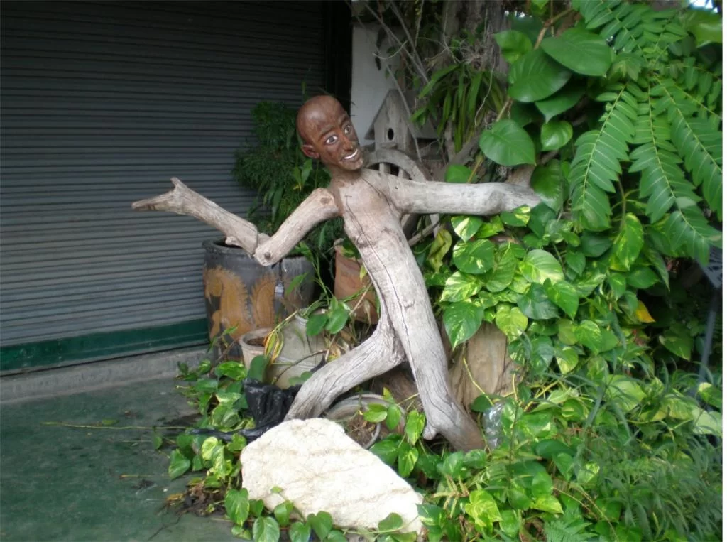 chiang mai 2011 038.webp