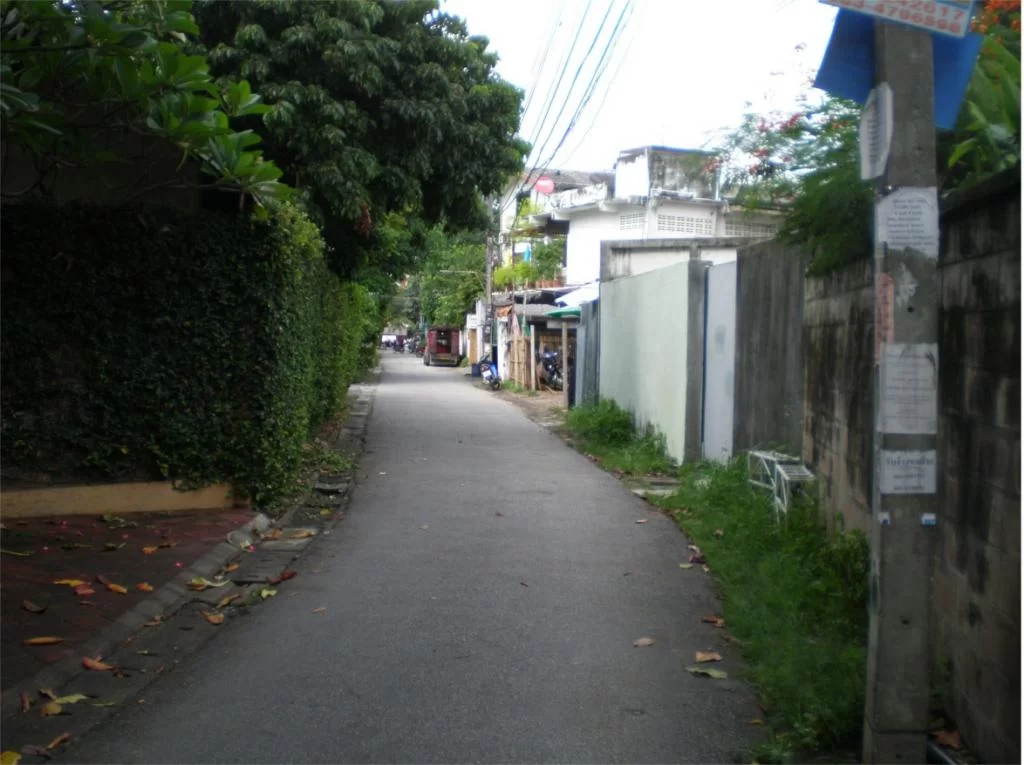 chiang mai 2011 044.webp