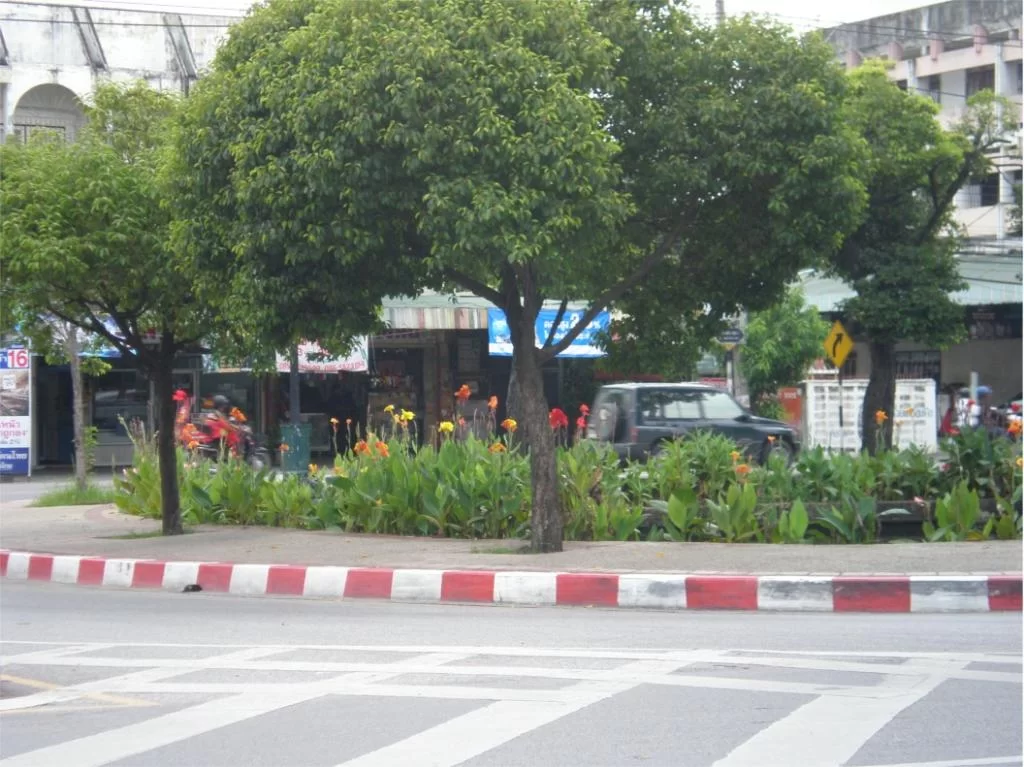 chiang mai 2011 062.webp