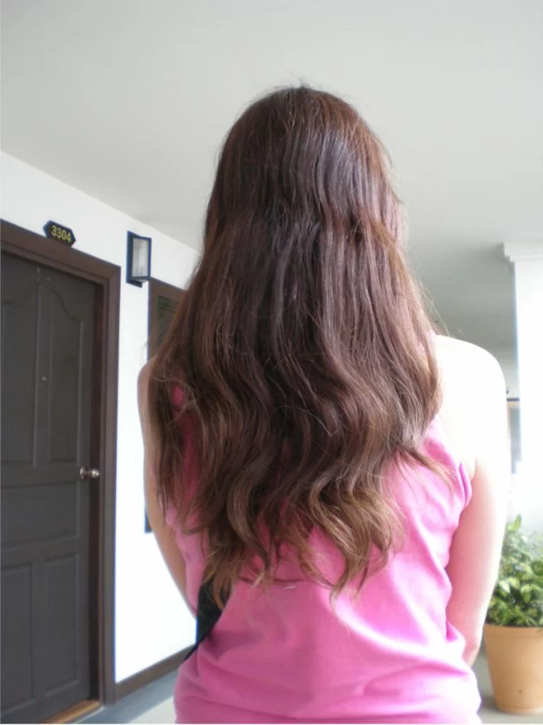 chiang mai 2011 073.webp