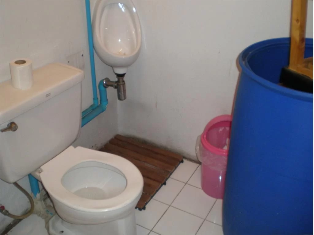 chiang mai 2011 076.webp