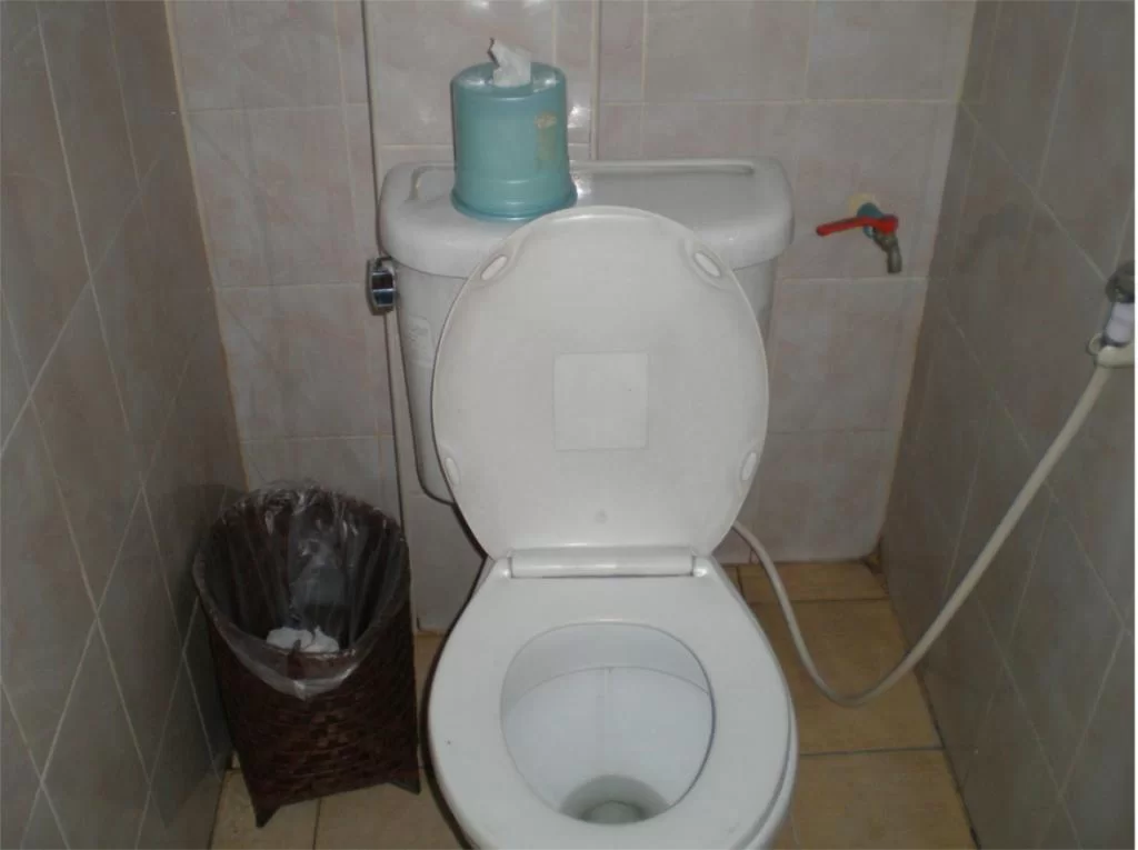 chiang mai 2011 079.webp