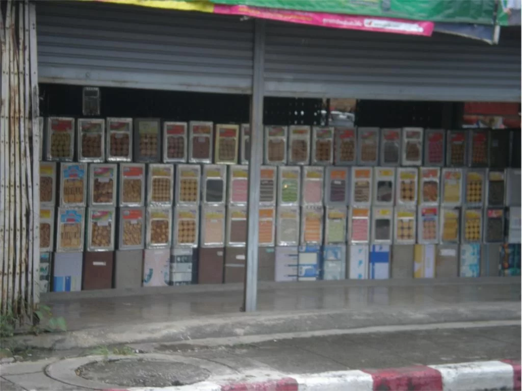 chiang mai 2011 089.webp