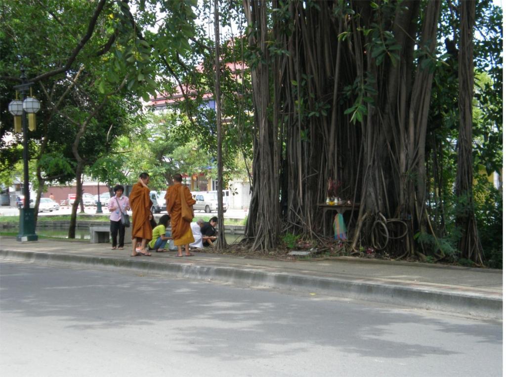 chiang mai 2011 101.jpg