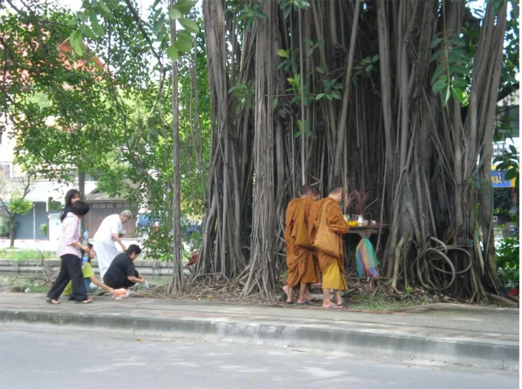 chiang mai 2011 102.webp