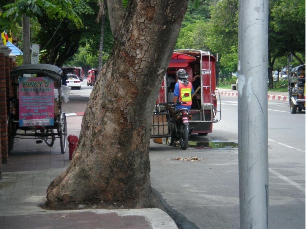 chiang mai 2011 110.jpg
