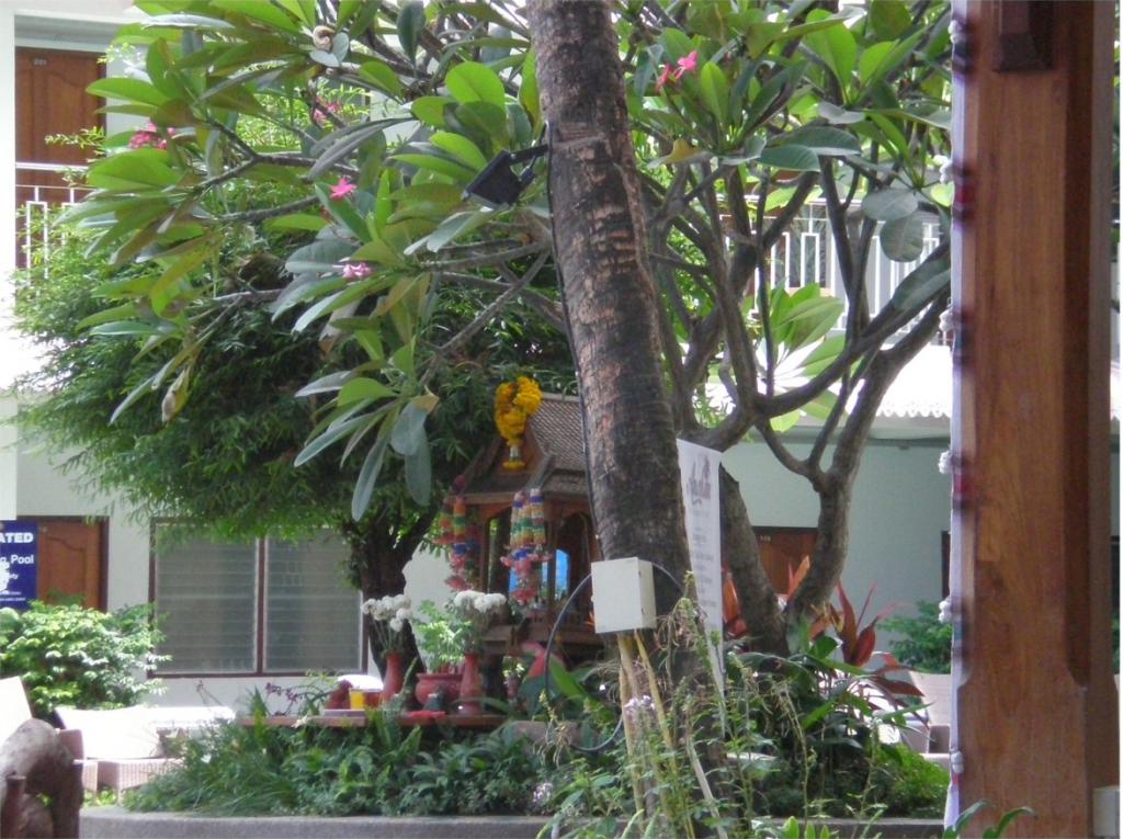 chiang mai 2011 114.jpg