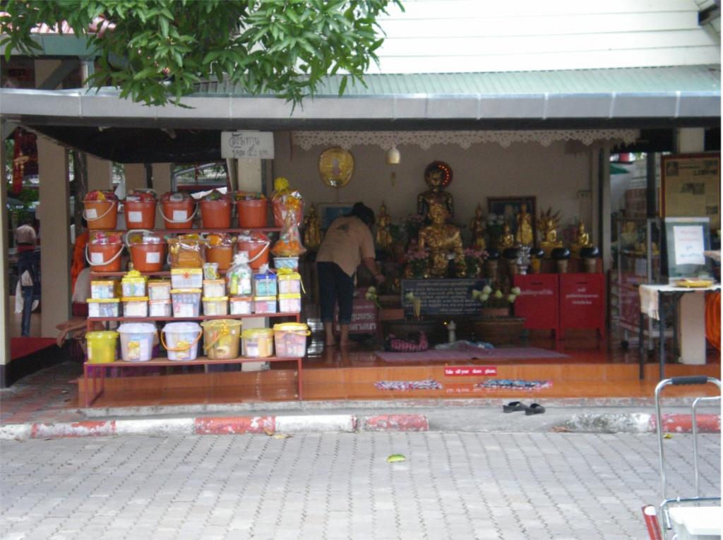 chiang mai 2011 166.jpg