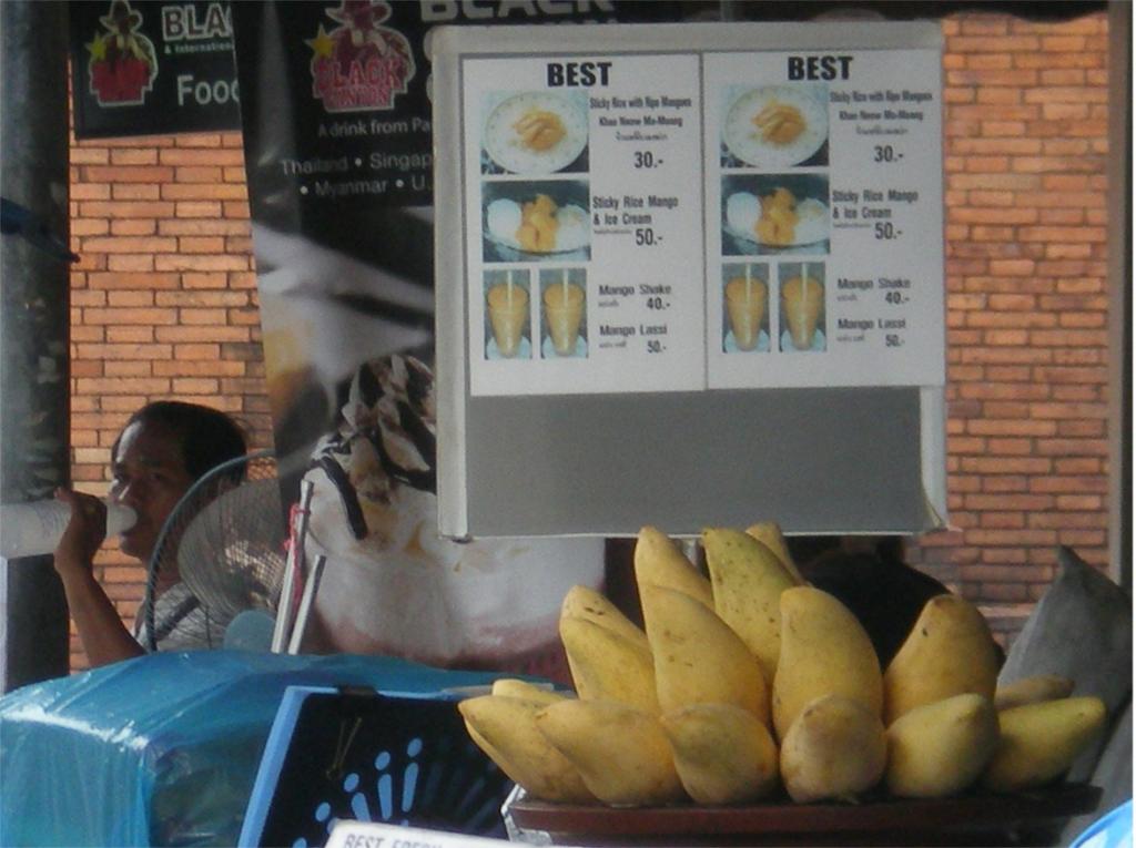 chiang mai 2011 171.jpg