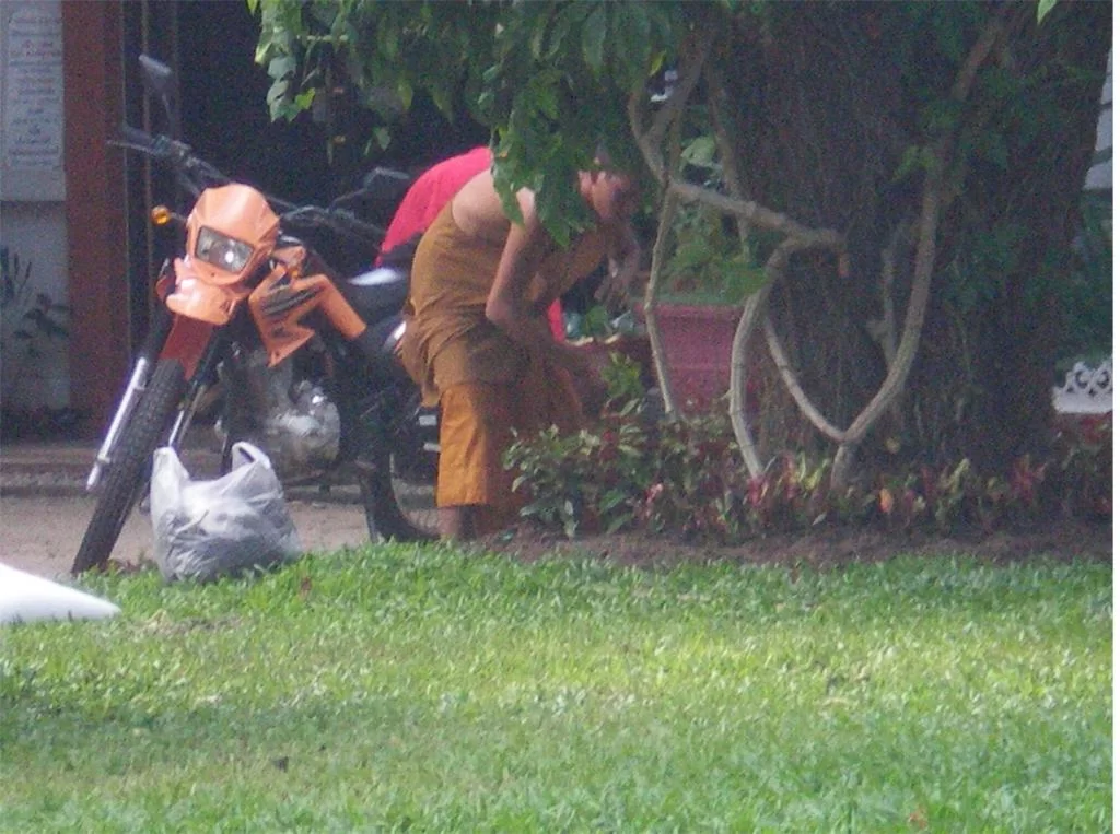 chiang mai 2011 207.webp