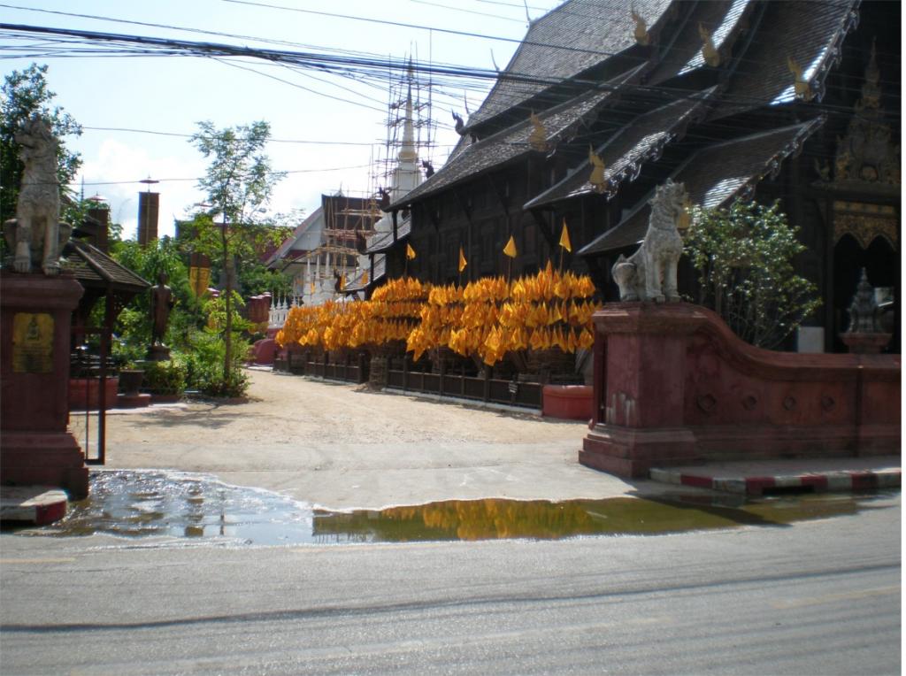 chiang mai 2011 209.jpg