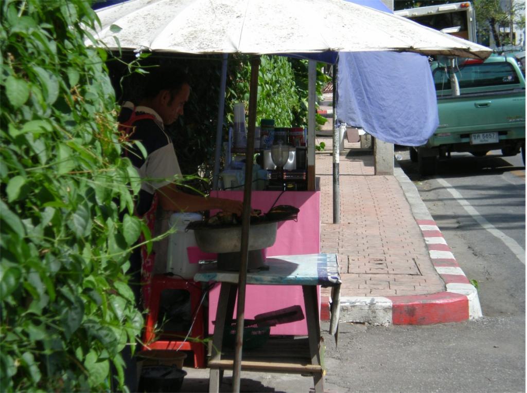 chiang mai 2011 210.jpg