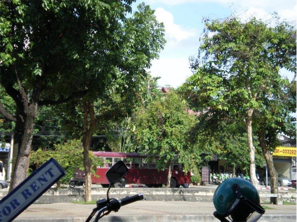 chiang mai 2011 217.jpg