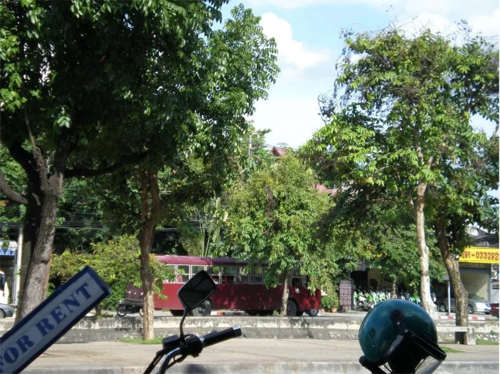 chiang mai 2011 217.webp