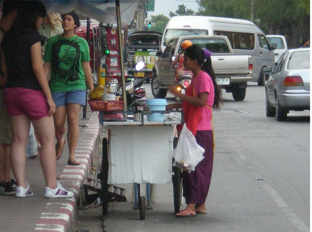 chiang mai 2011 226.jpg