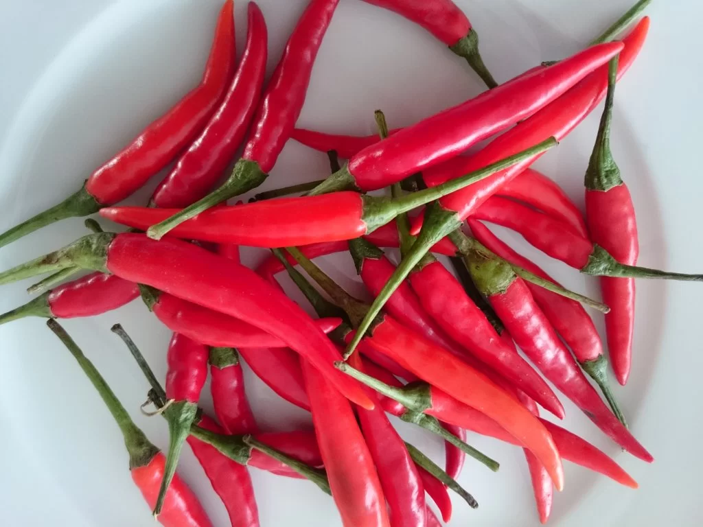 chili som snacks.webp