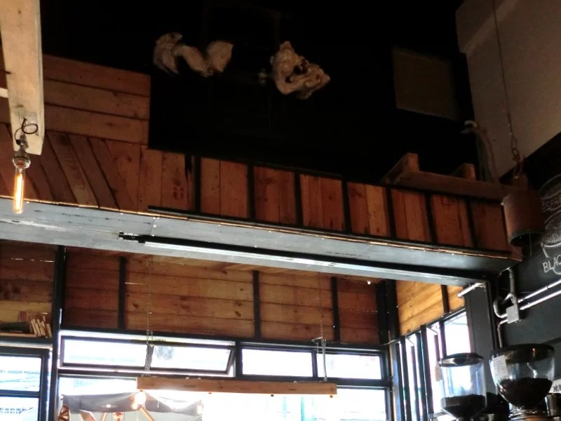 CIMG3137_cut_small.webp